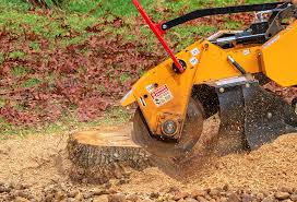 Best Lawn Grading and Leveling  in Villas, FL