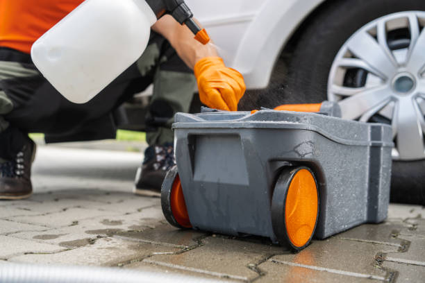 Best Lawn Renovation and Restoration  in Villas, FL